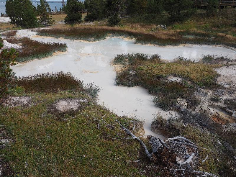 Yellowstone National Park, Wyoming (WY): West Thumb Geyser Basin: Hot pool WTLGNN091