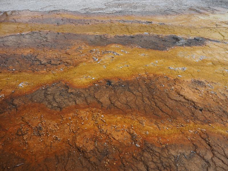 Yellowstone National Park, Wyoming (WY): West Thumb Geyser Basin: orange runoff