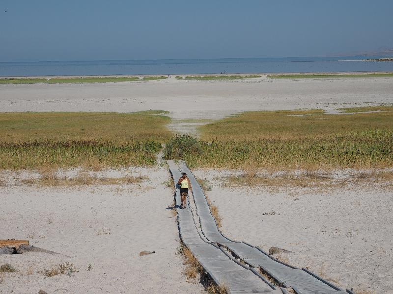 Antelope Island State Park, Utah (UT): Bridger Bay: view of beach and Great Salt Lake