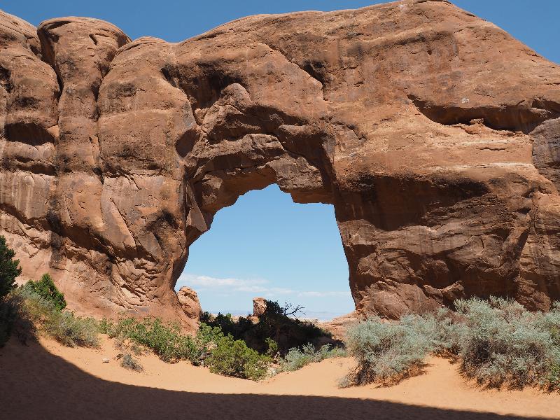 Arches National Park, Utah (UT): Devils Garden Trail: Pine Tree Arch