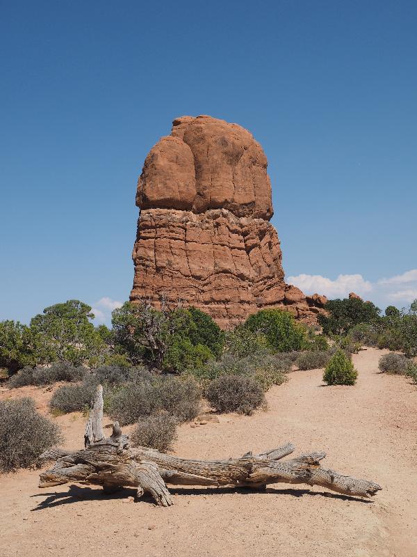 Arches National Park, Utah (UT): Arches Scenic Drive: rock near Balanced Rock