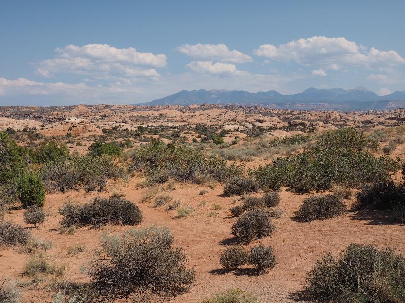 Arches National Park, Utah (UT): Arches Scenic Drive: Petrified Dunes