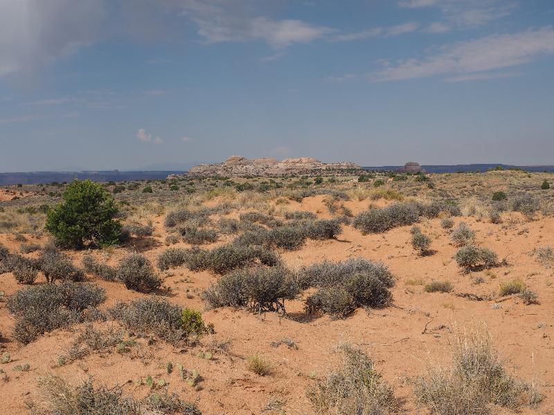 Canyonlands National Park, Utah (UT): Mesa Arch Trail: view
