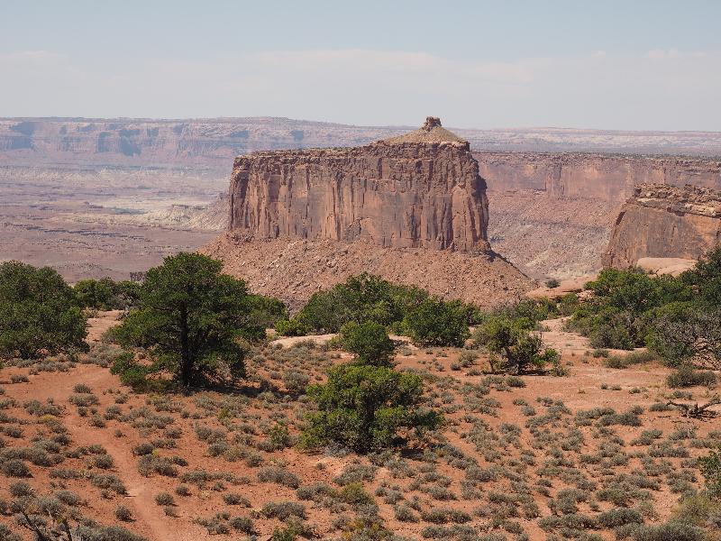 Canyonlands National Park, Utah (UT): Holeman Spring Canyon Overlook: view