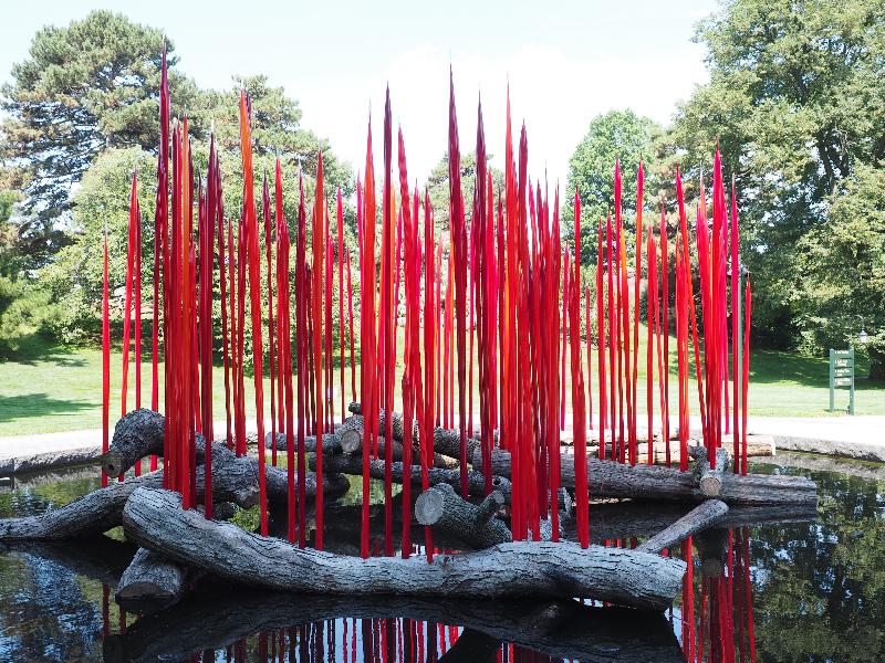 Bronx, New York (NY): New York Botanical Garden: Red Reeds on Logs (2016, Dale Chihuly)