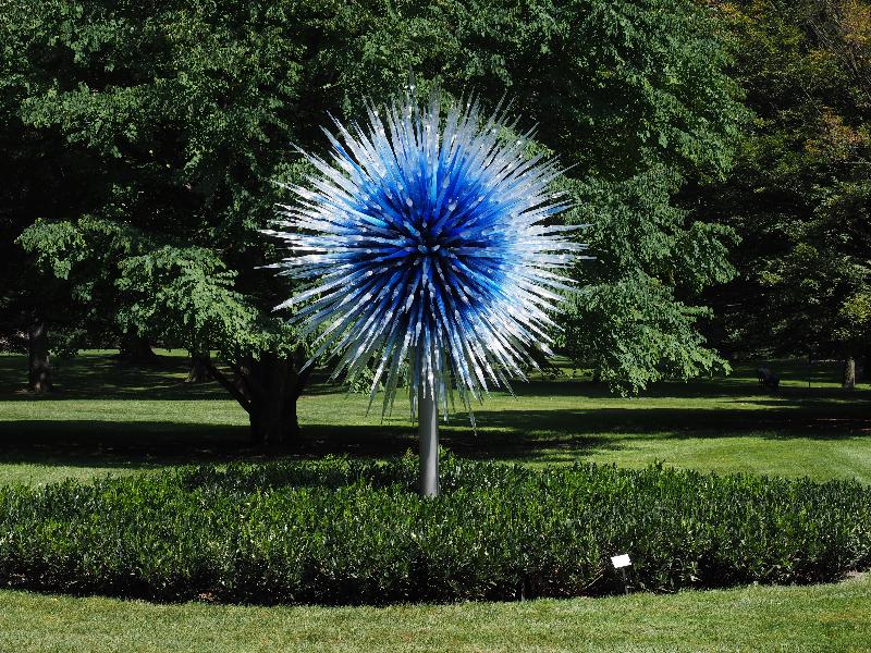 Bronx, New York (NY): New York Botanical Garden: Sapphire Star (2010, Dale Chihuly)