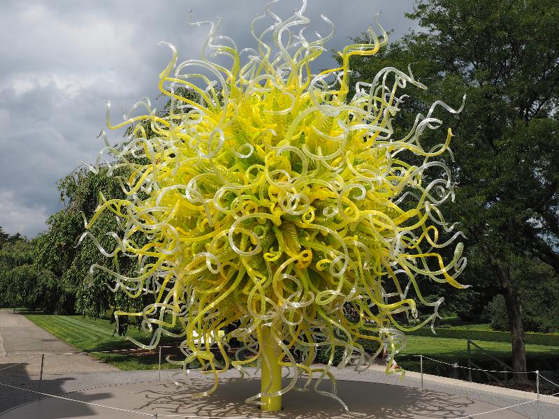 Bronx, New York (NY): New York Botanical Garden: Sol del Citron (2014, Dale Chihuly)