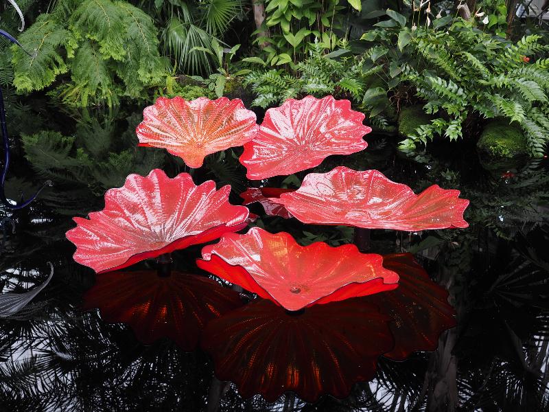 Bronx, New York (NY): New York Botanical Garden: red Persian Set (2017, Dale Chihuly)