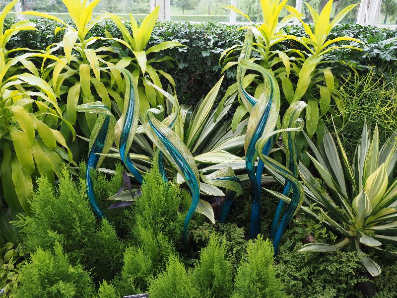 Bronx, New York (NY): New York Botanical Garden: Fiori (2017, Dale Chihuly)
