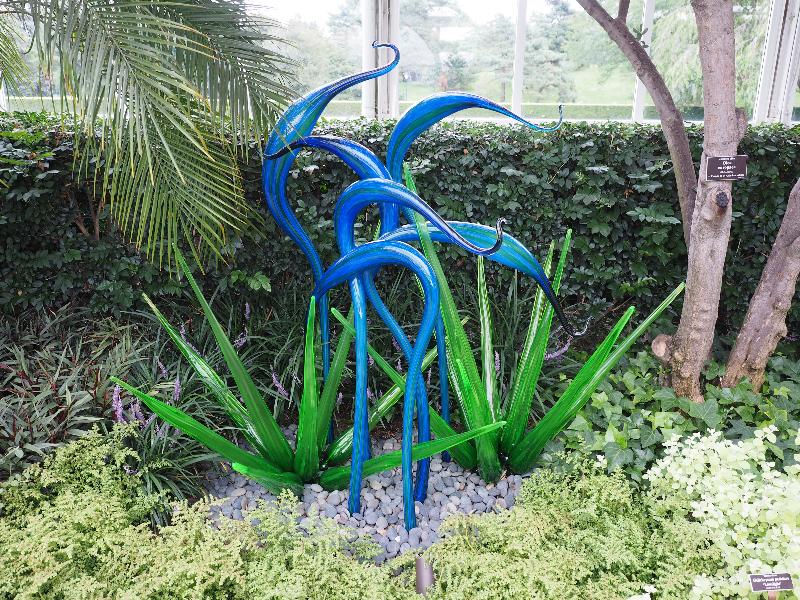 Bronx, New York (NY): New York Botanical Garden: Fiori (2017, Dale Chihuly)