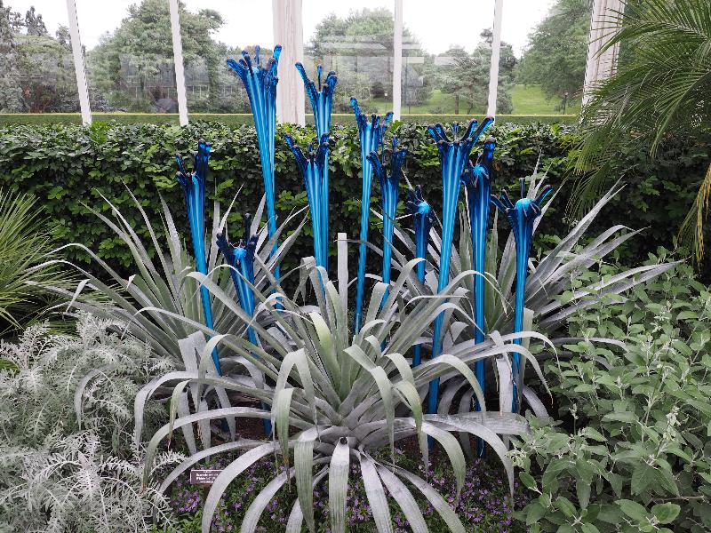 Bronx, New York (NY): New York Botanical Garden: Fiori (2017, Dale Chihuly)