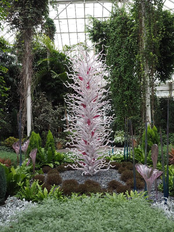 Bronx, New York (NY): New York Botanical Garden: White Tower with Fiori (2017, Dale Chihuly)