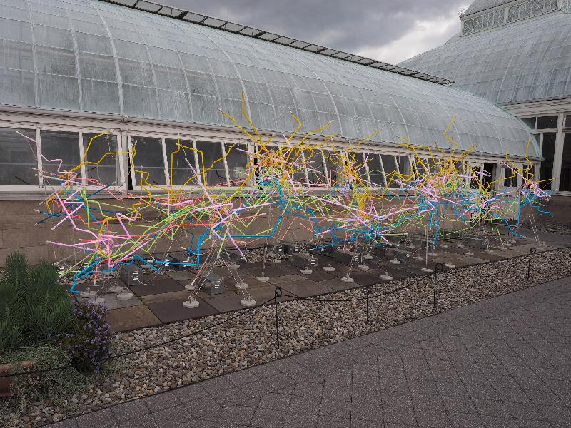 Bronx, New York (NY): New York Botanical Garden: Neon 206 (in daylight) (2017, Dale Chihuly)