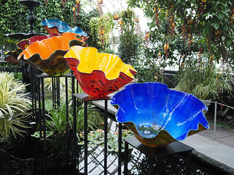 Bronx, New York (NY): New York Botanical Garden: Macchia Forest (2017, Dale Chihuly)