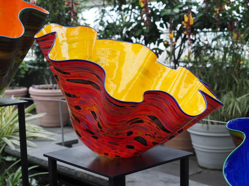 Bronx, New York (NY): New York Botanical Garden: Macchia (2017, Dale Chihuly)