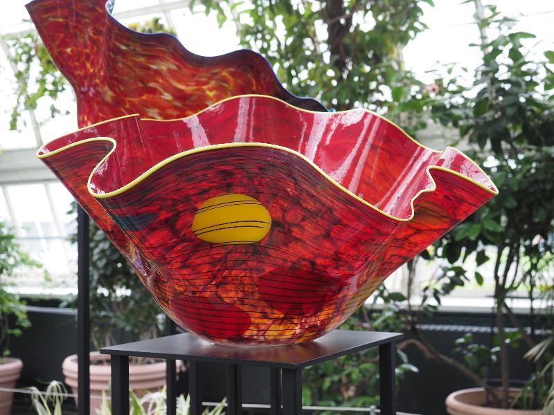 Bronx, New York (NY): New York Botanical Garden: Macchia (2017, Dale Chihuly)