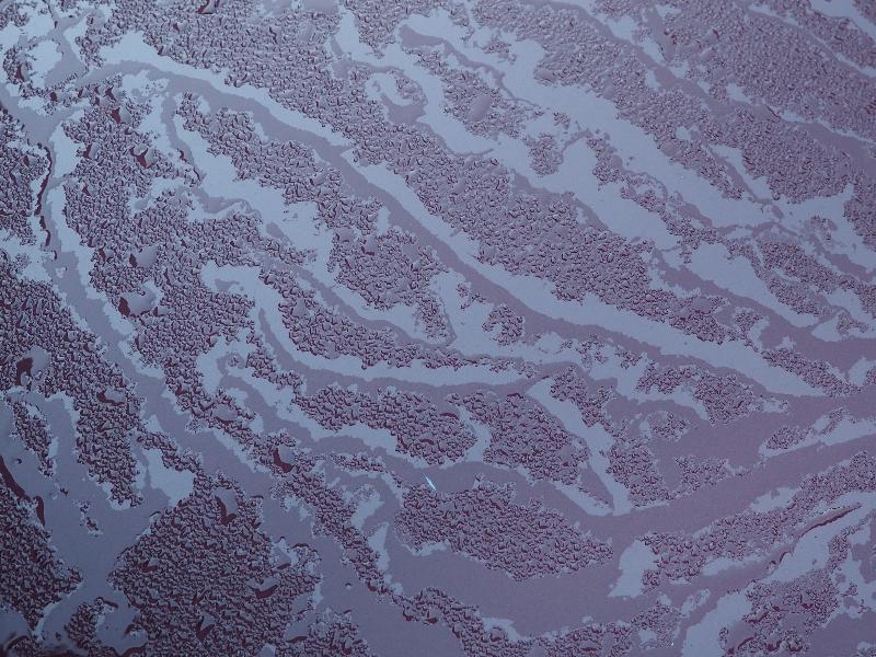 Cambridge, England: Roseford Road: water on car bonnet