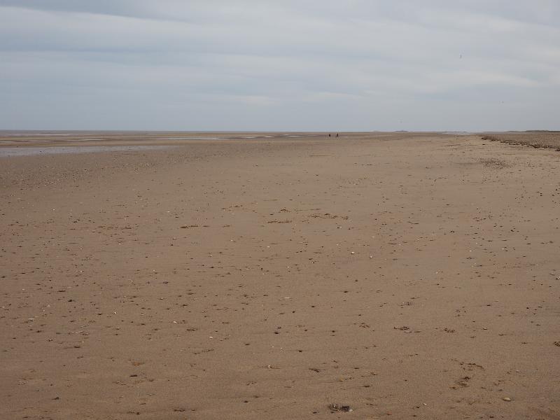 Thornham, England: Holme Dunes National Nature Reserve: beach at low tide