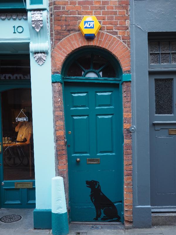 Cambridge, England: Green Street: dog painted on door