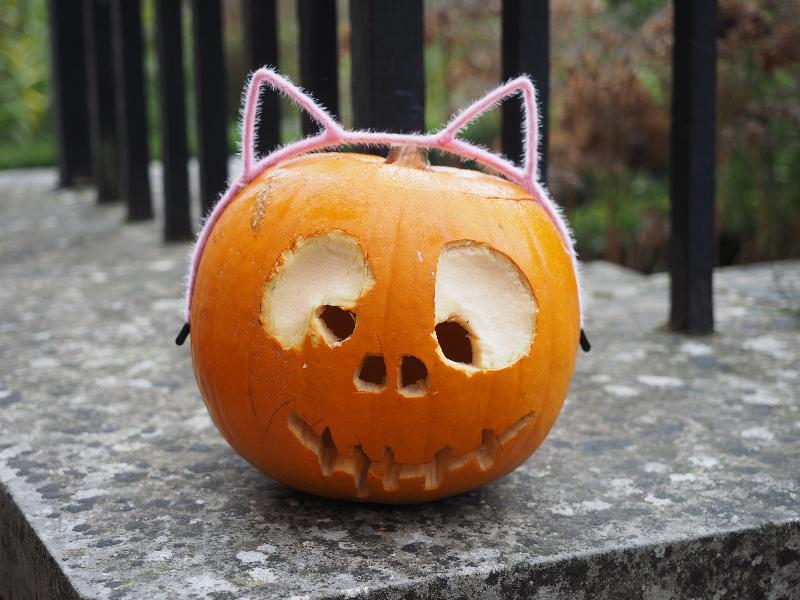Cambridge, England: St Catharine's College: cat pumpkin