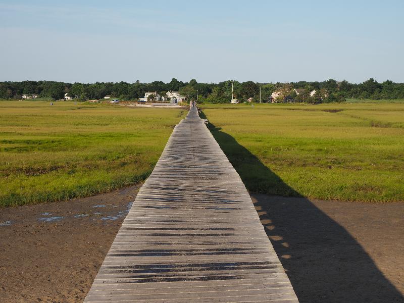 Sandwich, Massachusetts (MA): Boardwalk: view over marsh