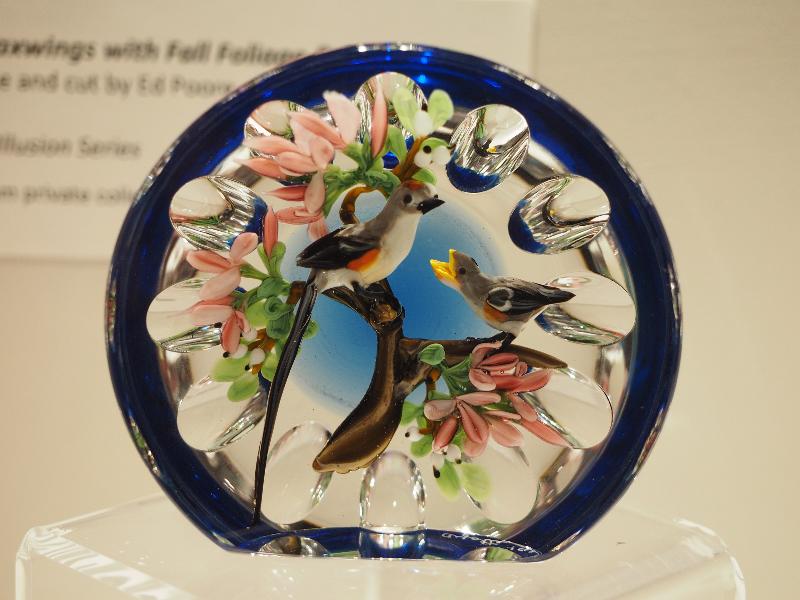 Sandwich, Massachusetts (MA): Sandwich Glass Museum: paperweight, scissor-tailed flycatcher (1991, Rick Ayotte, cut by Ed Poore)