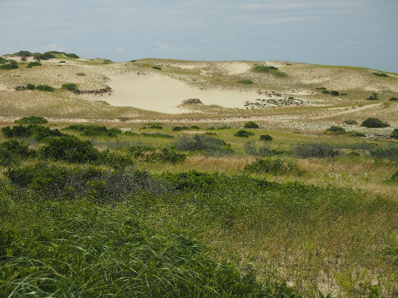 Provincetown, Massachusetts (MA): sand dunes: view