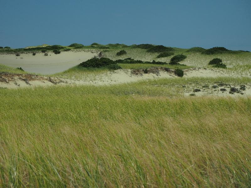 Provincetown, Massachusetts (MA): sand dunes: view
