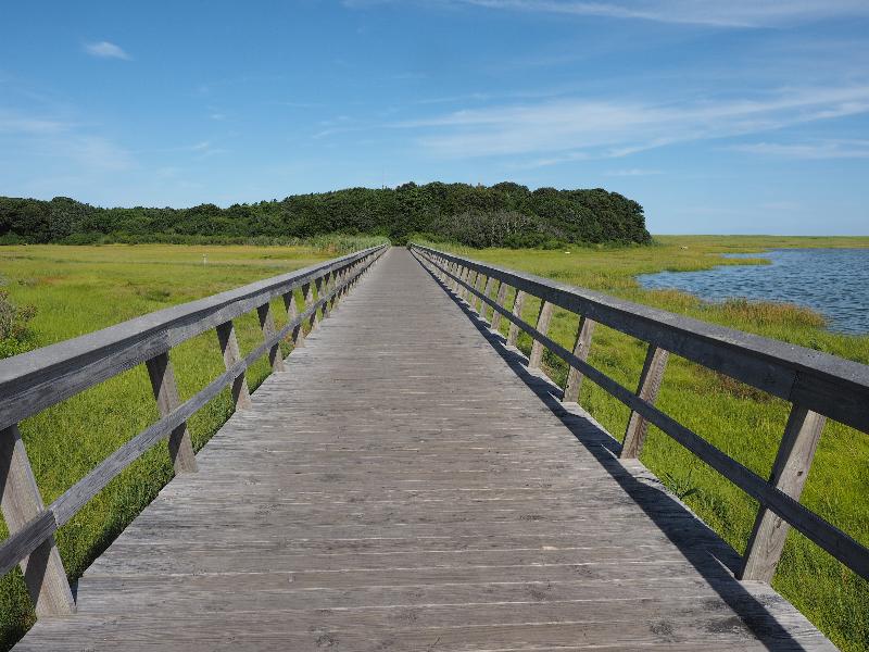 Eastham, Massachusetts (MA): Coast Guard Beach: boardwalk