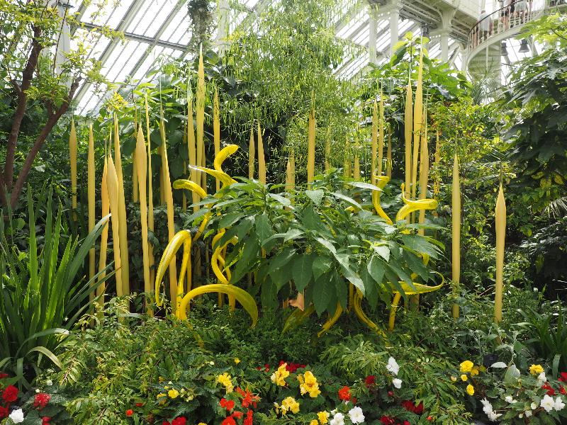 London, England: Kew Gardens: Yellow Herons and Reeds (2019, Dale Chihuly)