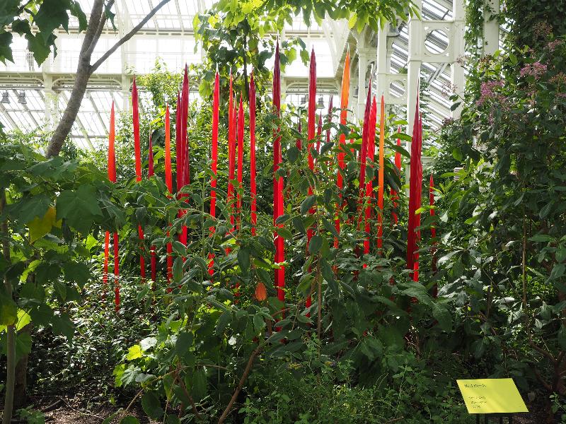 London, England: Kew Gardens: Red Reeds (2016, Dale Chihuly)