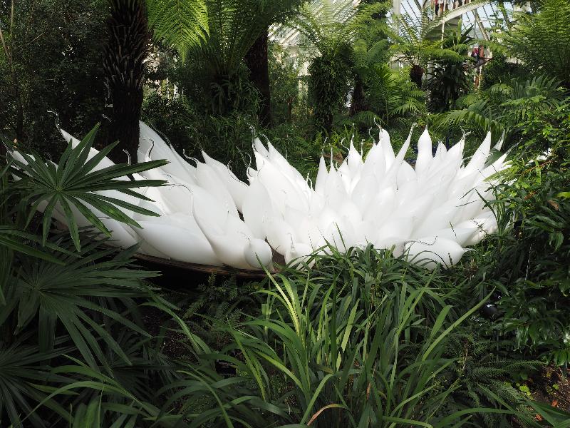 London, England: Kew Gardens: Beluga Boat (2018, Dale Chihuly)