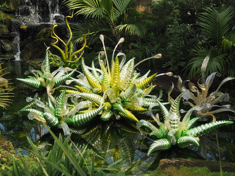 London, England: Kew Gardens: Fiori Verdi (2016, Dale Chihuly)