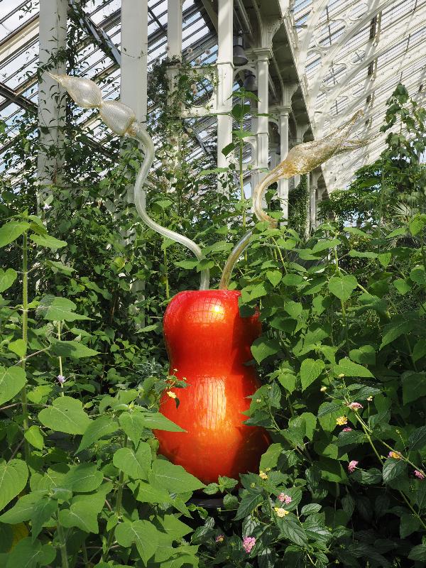 London, England: Kew Gardens: red Ikebana (Dale Chihuly)