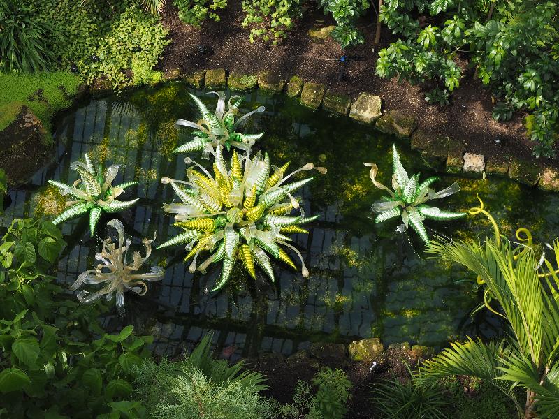 London, England: Kew Gardens: Fiori Verdi (2016, Dale Chihuly)