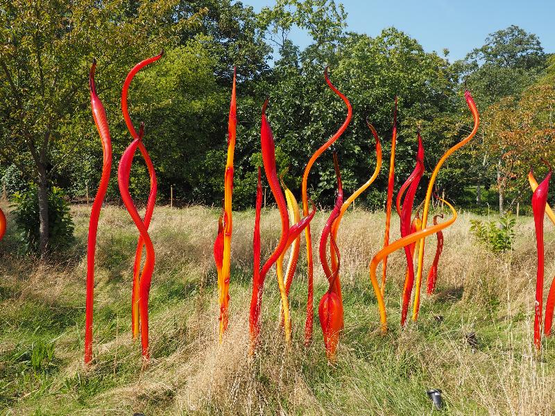 London, England: Kew Gardens: Cattails and Copper Birch Reeds (2015, Dale Chihuly)
