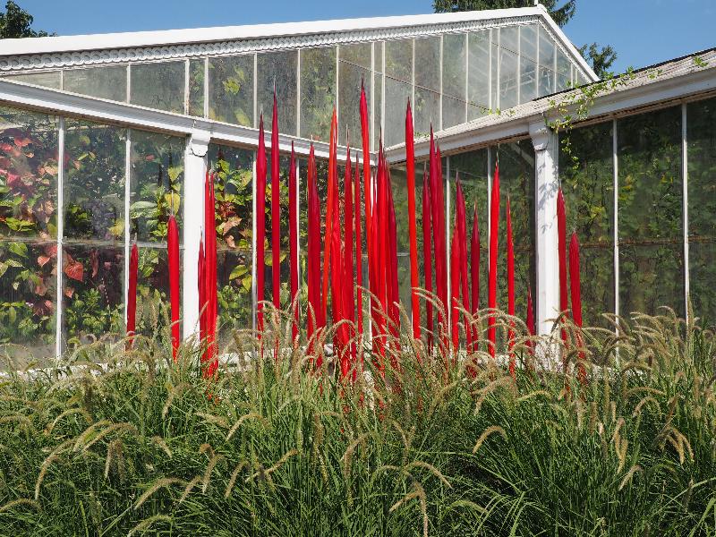 London, England: Kew Gardens: Red Reeds (2016, Dale Chihuly)