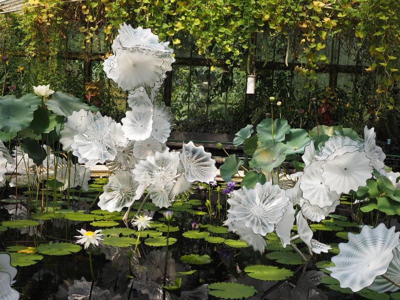 London, England: Kew Gardens: Ethereal White Persian Pond (2018, Dale Chihuly)
