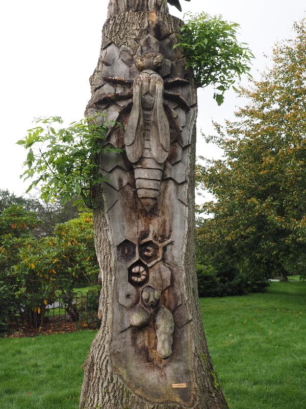 Newcastle-under-Lyme, England: Brampton Park: Brampton Bee Tree (2017, sculptor Anthony Hammond)