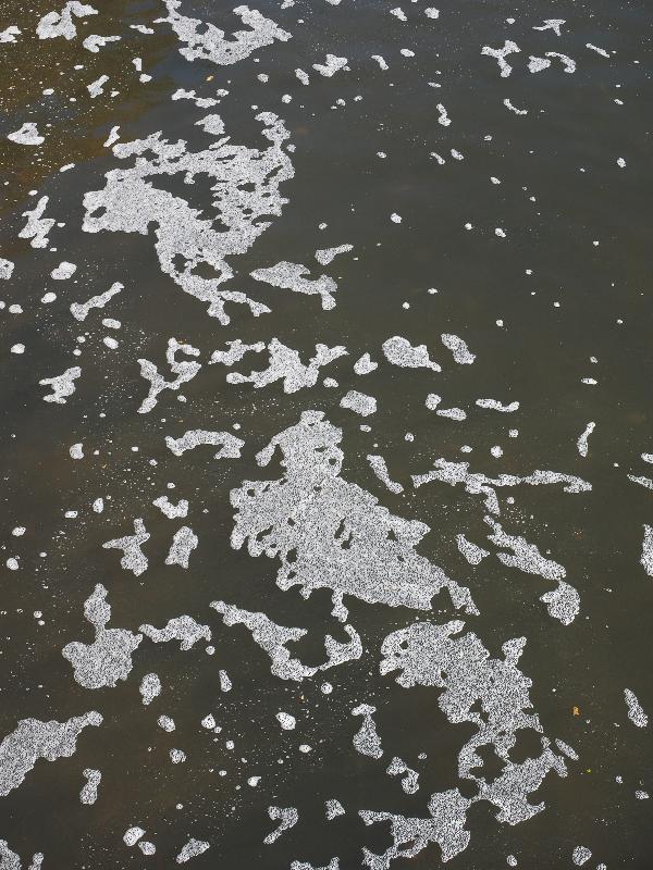 Cambridge, England: Cam: foam on water