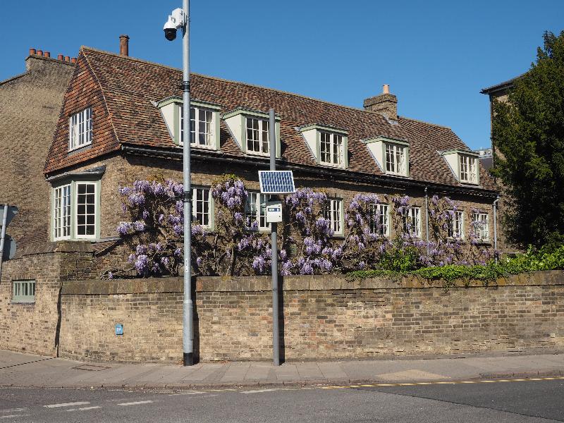 Cambridge, England: Trumpington Street: wisteria