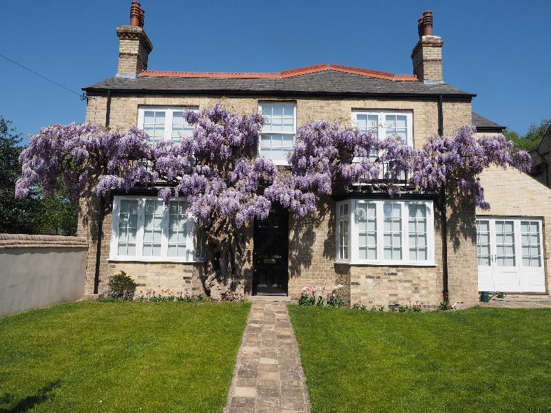 Cambridge, England: Grantchester Meadows: wisteria