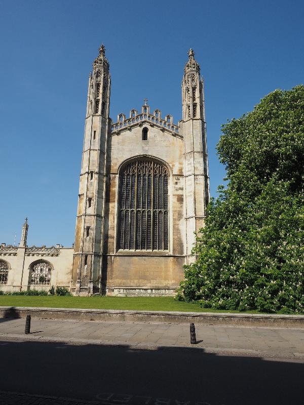 Cambridge, England: King's College: chapel and Horse Chestnut