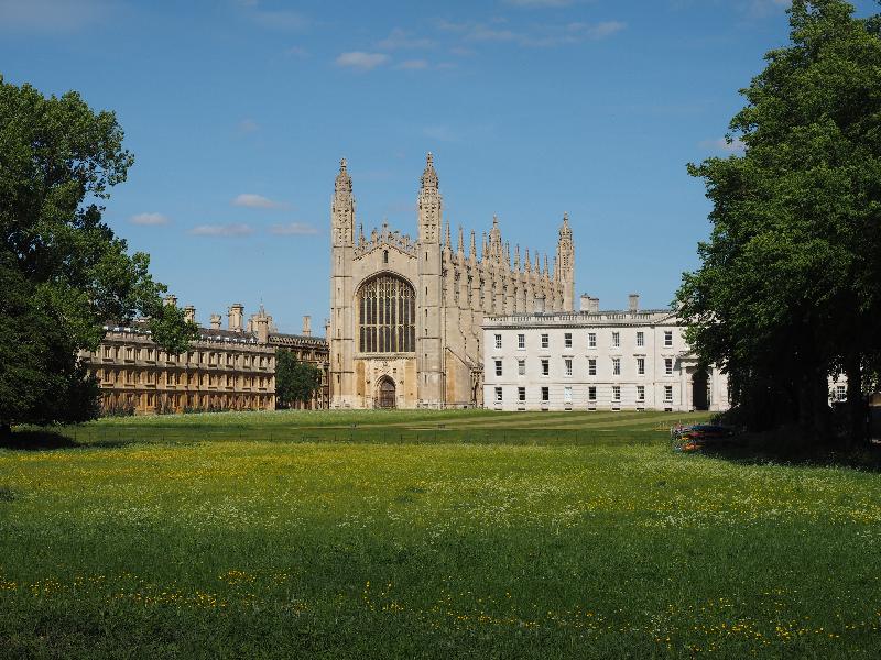 Cambridge, England: King's College: chapel, with buttercups (quiet because of Covid-19 lockdown)
