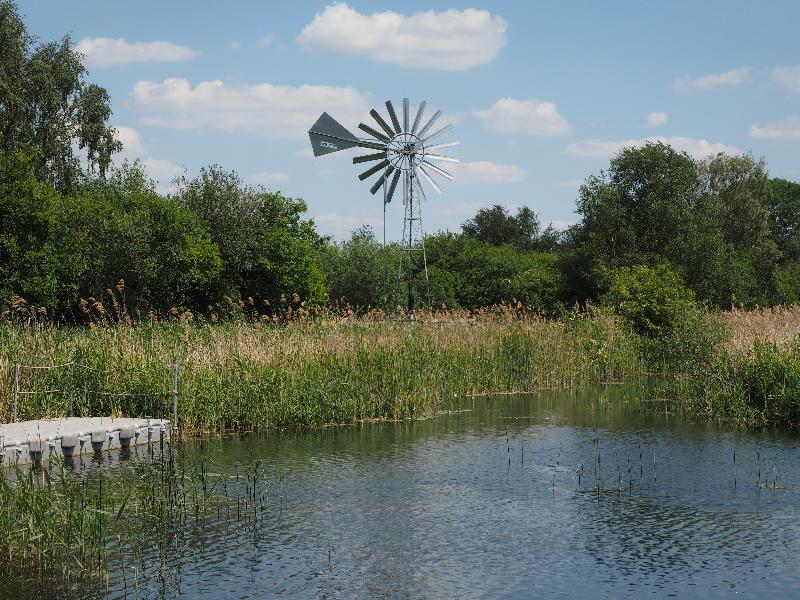 Wicken, England: Wicken Fen: modern windmill