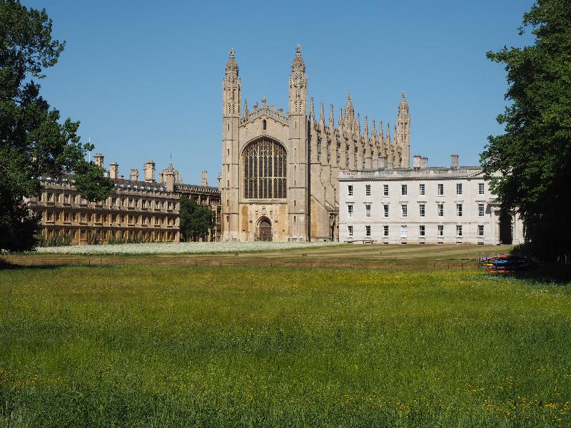 Cambridge, England: King's College: chapel, with wildflowers (quiet because of Covid-19 lockdown)