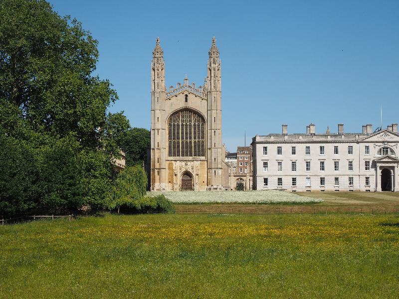 Cambridge, England: King's College: chapel, with wildflowers (quiet because of Covid-19 lockdown)