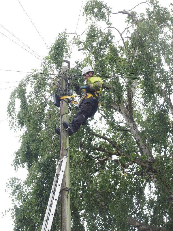 Cambridge, England: Roseford Road: OpenReach engineer working up telephone pole