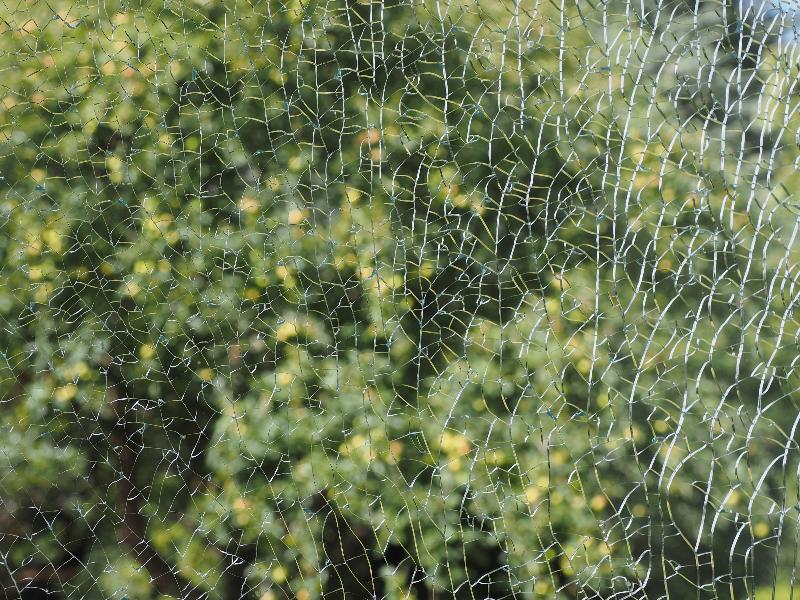Cambridge, England: Roseford Road: broken window