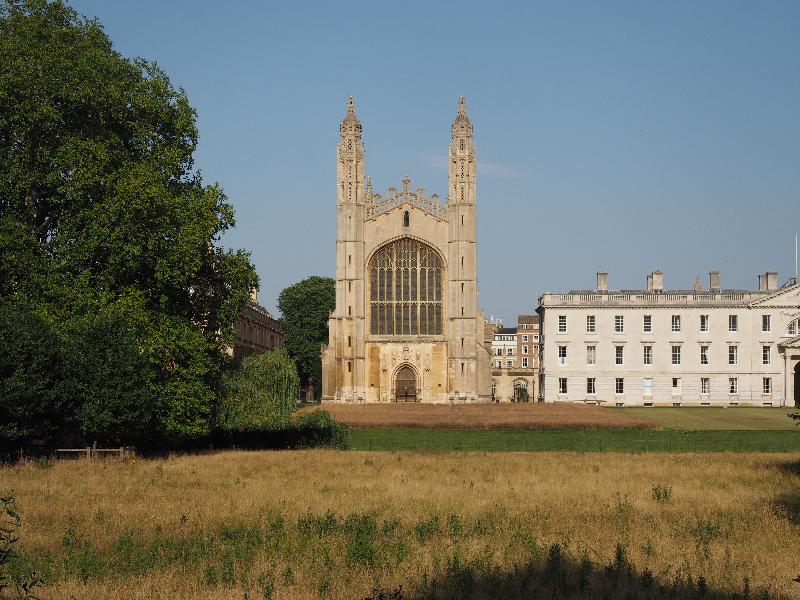 Cambridge, England: King's College: chapel, with wildflowers gone to seed (quiet because of Covid-19)